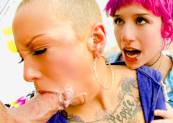 free pics 23